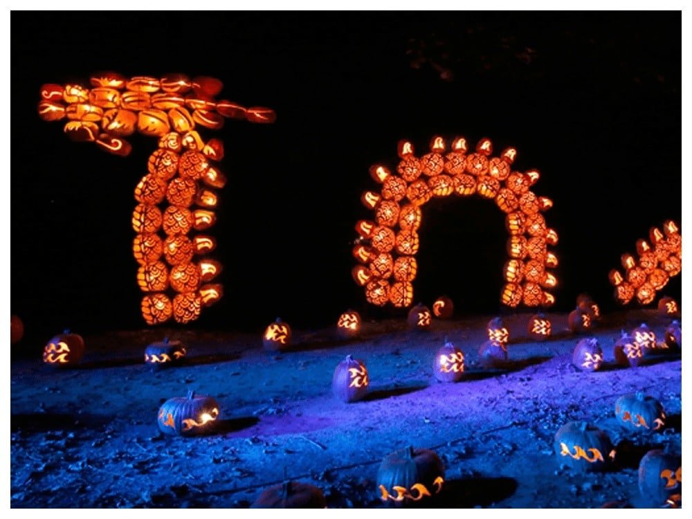 Great Jack O'Lantern Blaze