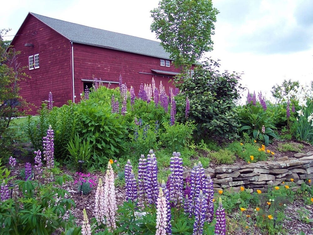 Landis Arboretum