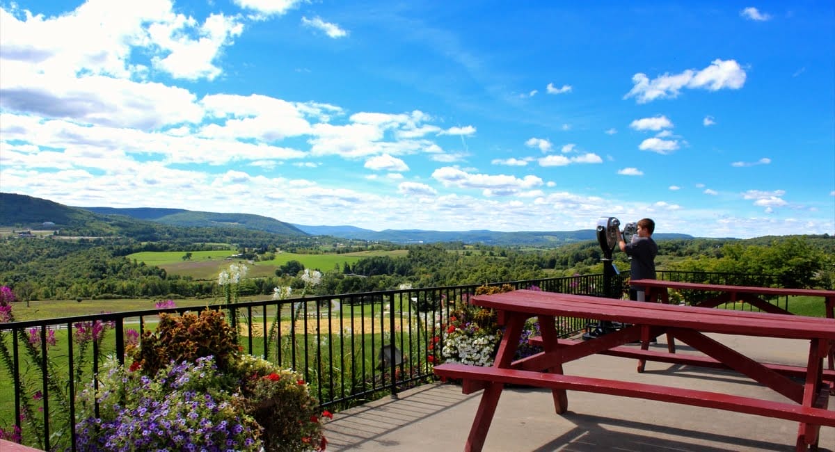 A beautiful view from the lodge. Take a peek with the observation binoculars. | Photo from Howe Caverns