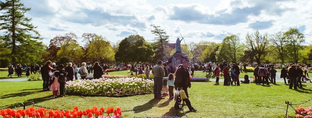 Albany Tulip Festival