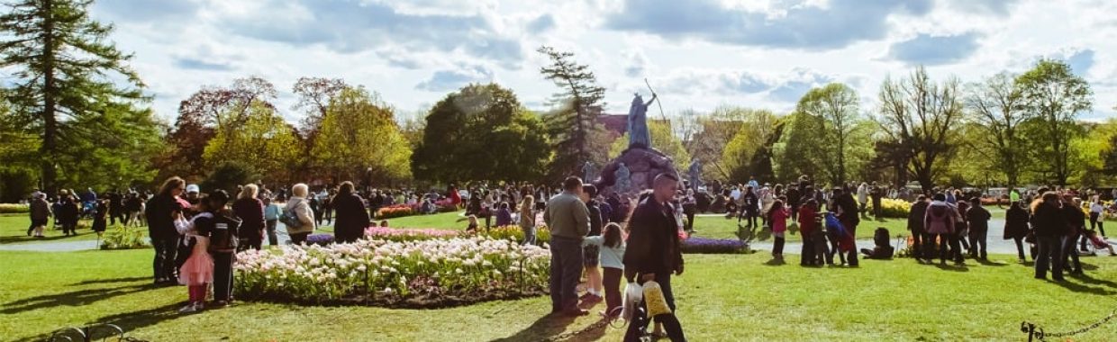 Albany Tulip Festival