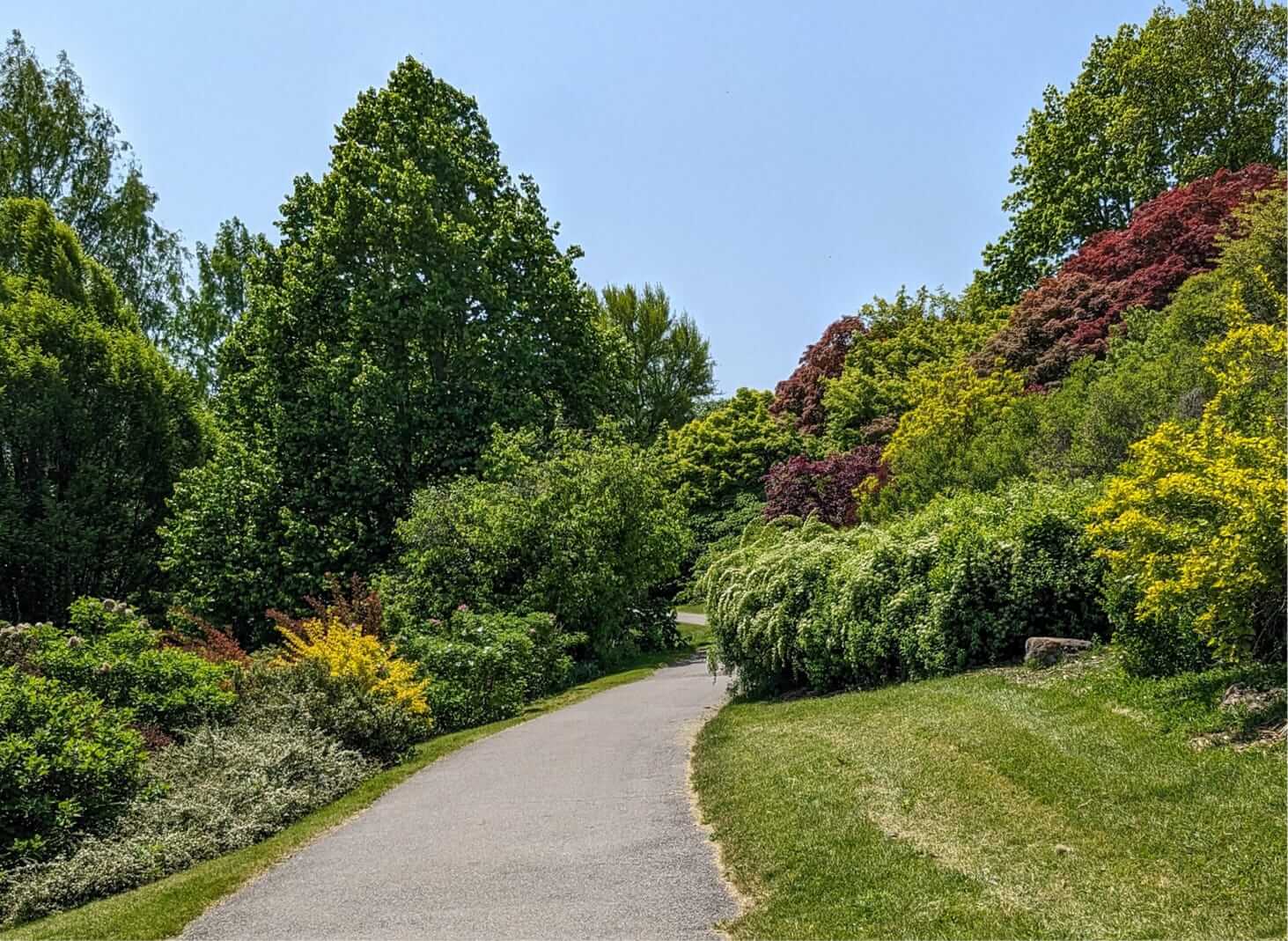 A scenic park pathway curves through lush greenery with various trees and colorful shrubs on either side under a clear blue sky, embodying the serene beauty championed by Highland Park Conservancy. A scenic park pathway curves through lush greenery with various trees and colorful shrubs on either side under a clear blue sky, embodying the serene beauty championed by Highland Park Conservancy.