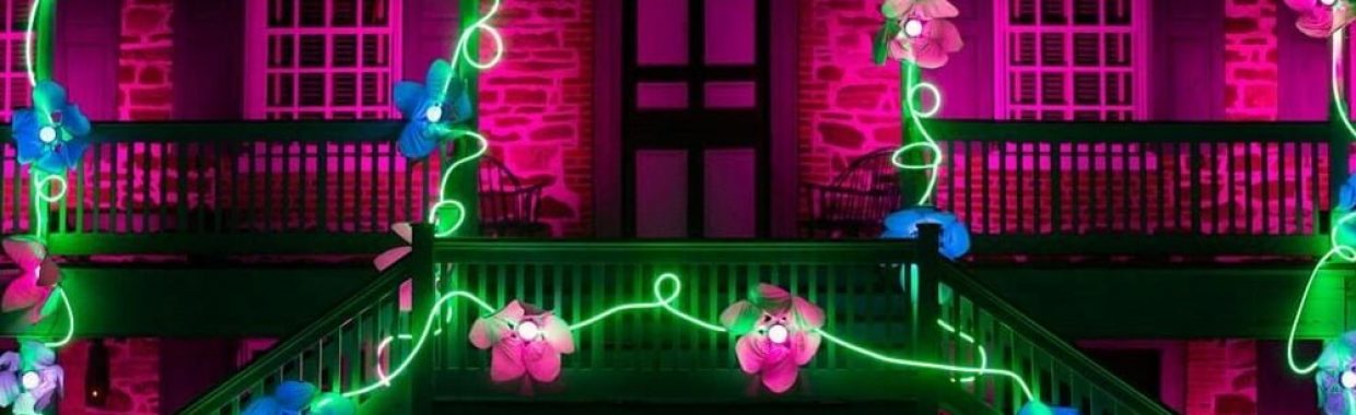Lightscapes: A Springtime Garden Fantasy