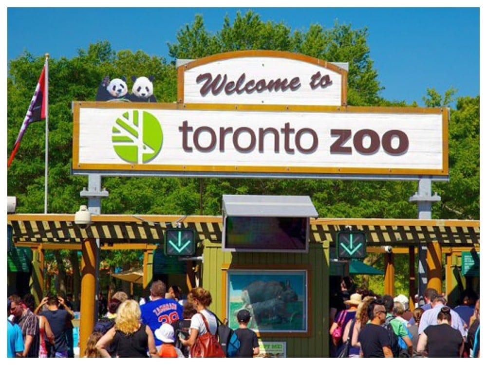 Toronto Zoo | Things to Do in Toronto | New York by Rail