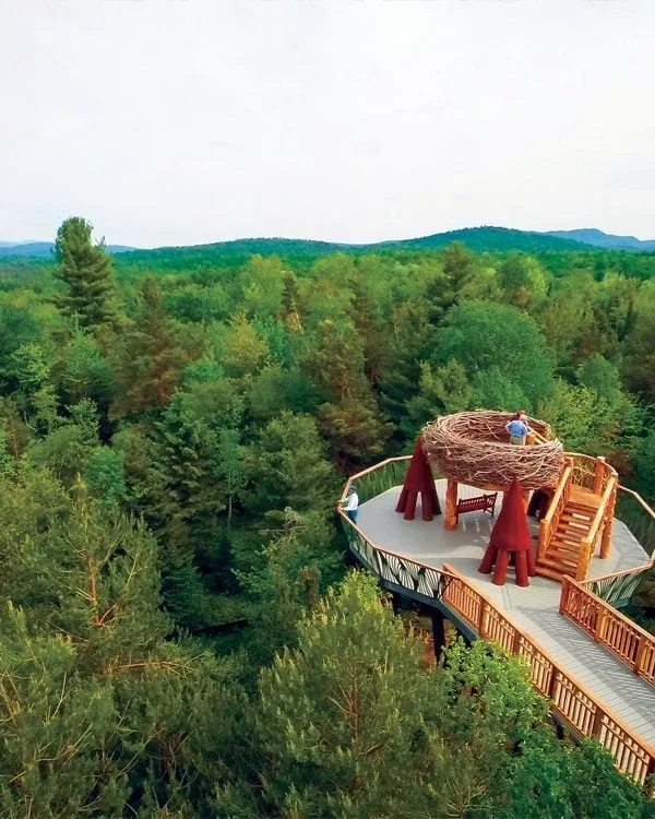 Worth a Visit: The Wild Center in Tupper Lake