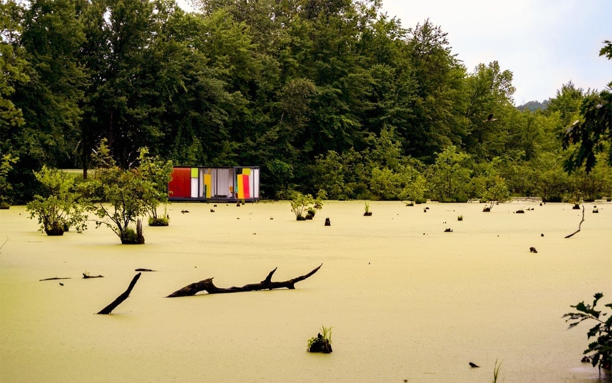 A glimpse of Rob Fischer’s site-specific installation, Omi Pond House at Art Omi in Columbia County. | Photo by Andrew Frey