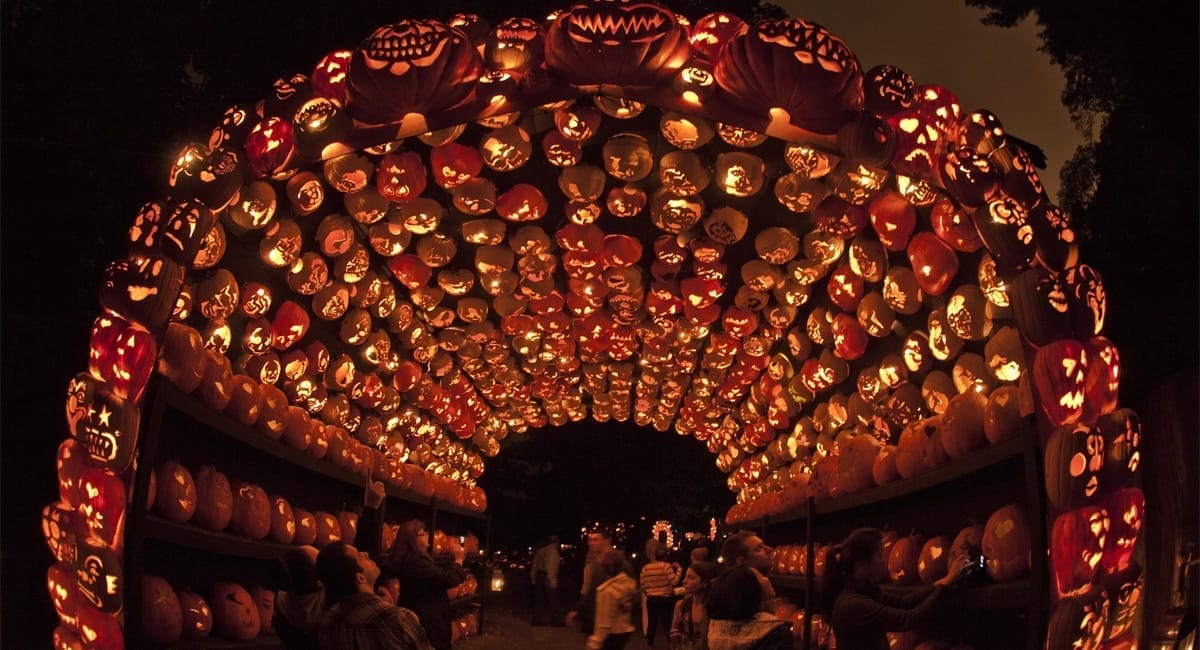 Great Jack 'Lantern Blaze