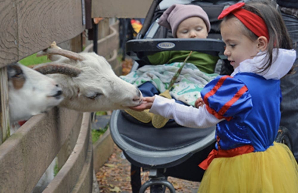 Feed the animals at Spooktacular at Utica Zoo. | Photo from Utica Zoo