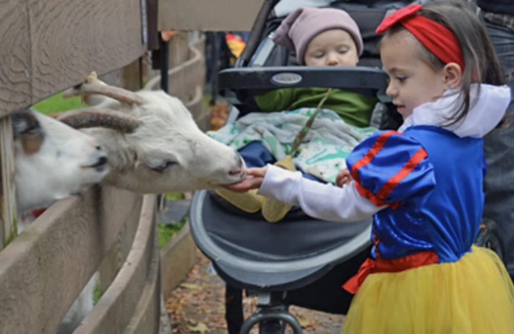 Feed the animals at Spooktacular at Utica Zoo. | Photo from Utica Zoo