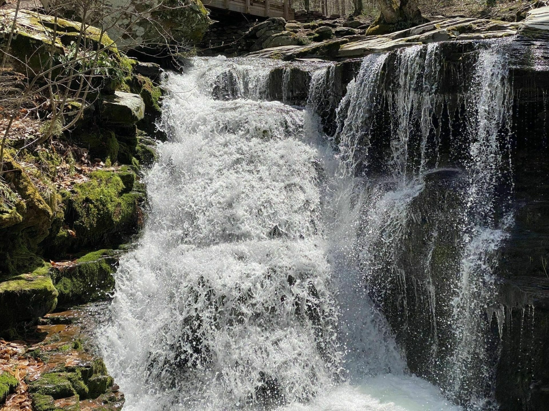 Diamond Notch Falls