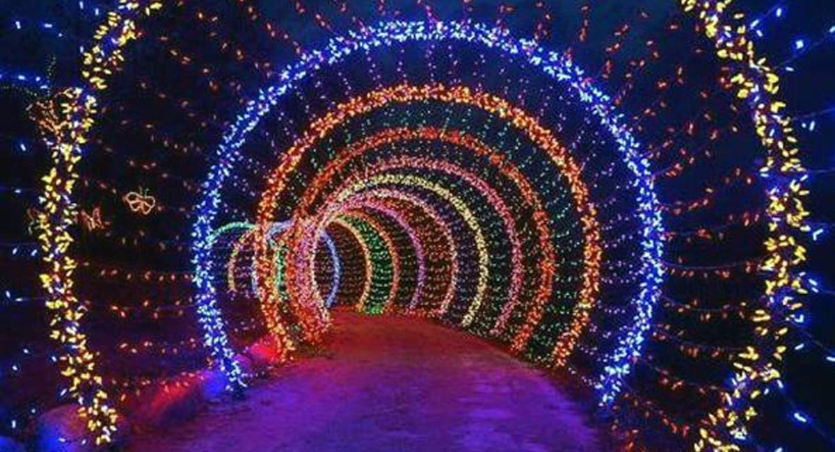 Park Christmas Lights Photos Cantik