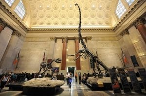 The American Museum of Natural History