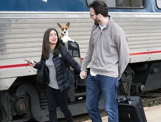 All Aboard, Fido & Fluffy | Travel with Pets on Amtrak NY | Photo from Amtrak