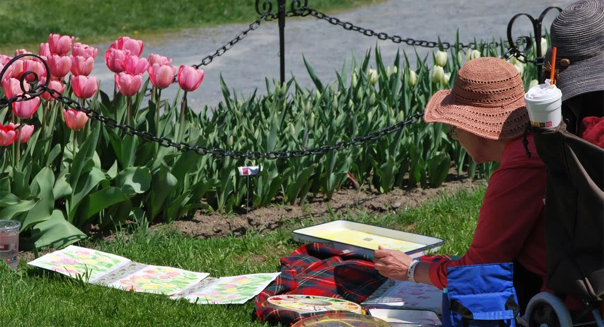 An Artist Painting the Scenery at the Albany Tulip Festival | Photo from Wikimedia Commons