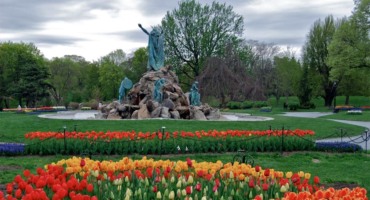 Vibrant Colors at the Albany Tulip Festival | Photo from Wikimedia Commons