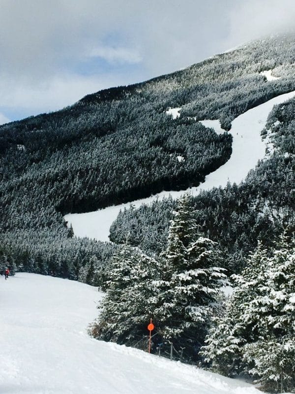 Ski New York | Lake Placid, NY | Adirondack Mountains