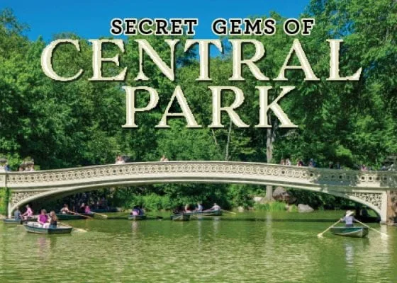 Central Park Blog Header