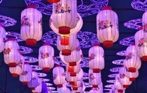 NYS Chinese Lantern Festival