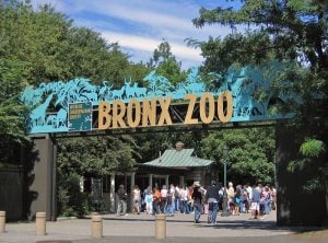 The Bronx Zoo - old