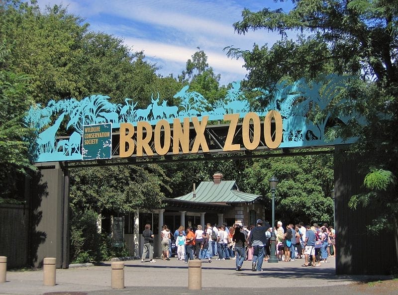 Visitors entering the Bronx Zoo | Photo by Postdlf, Wikimedia Commons