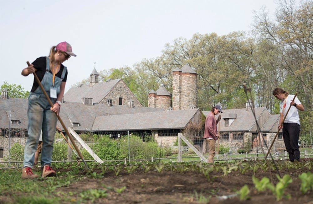 Stone Barns brings the field and pasture to your plate | Photo from Ben Hider