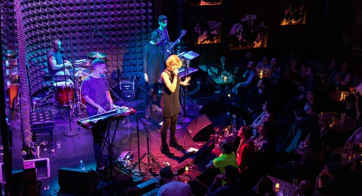 Joe's Pub - David Andrako