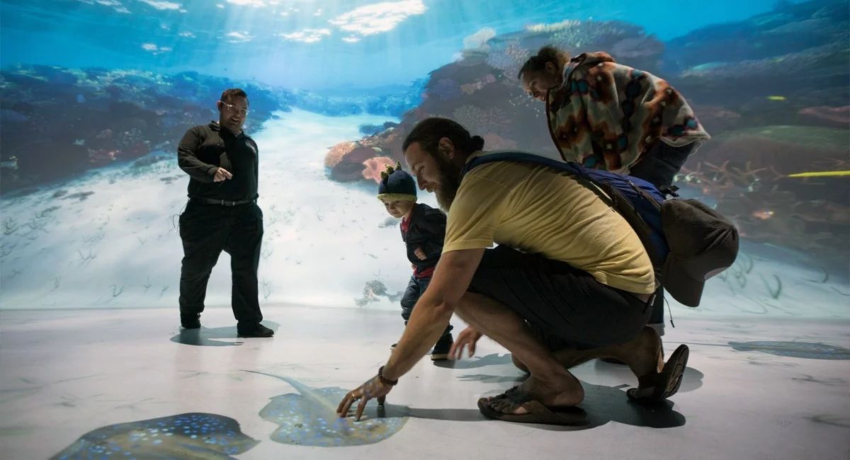 The Interactive Shallows - National Geographic Encounter-Ocean Odyssey