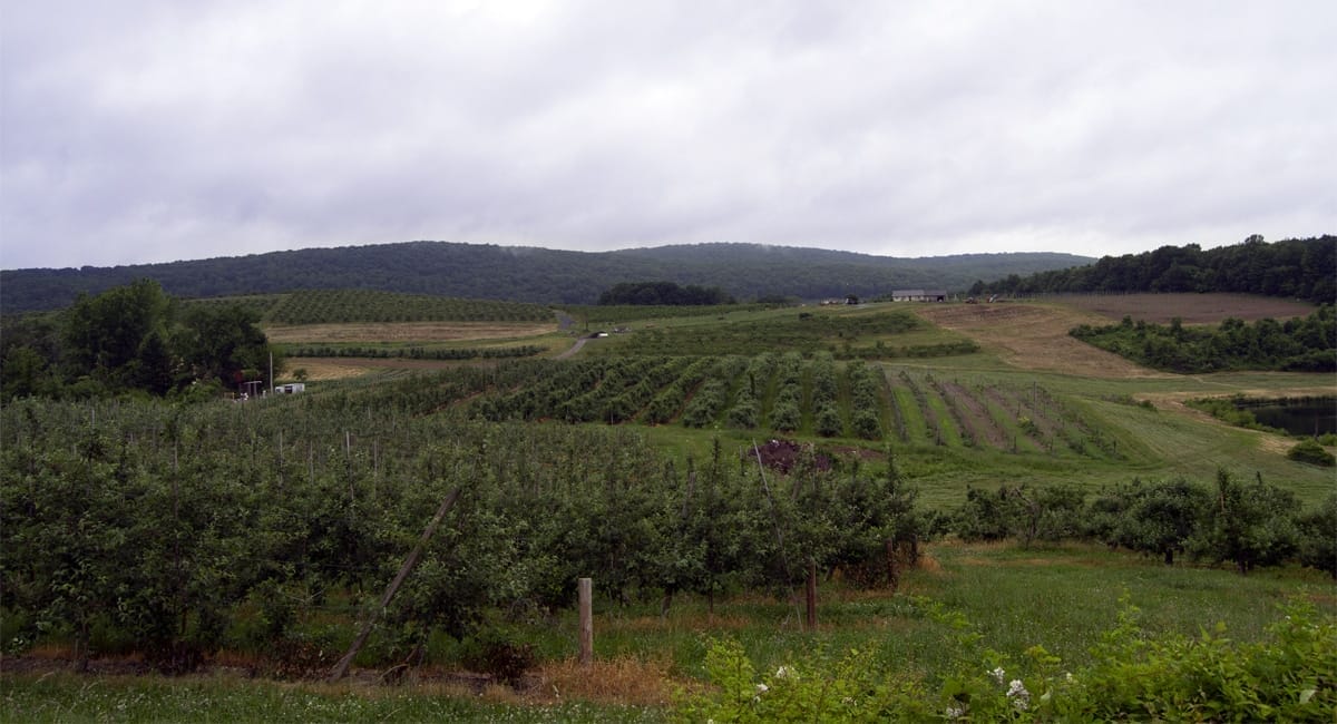 Rolling Fields