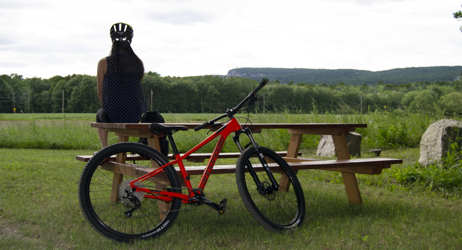 Rail Trail Bike