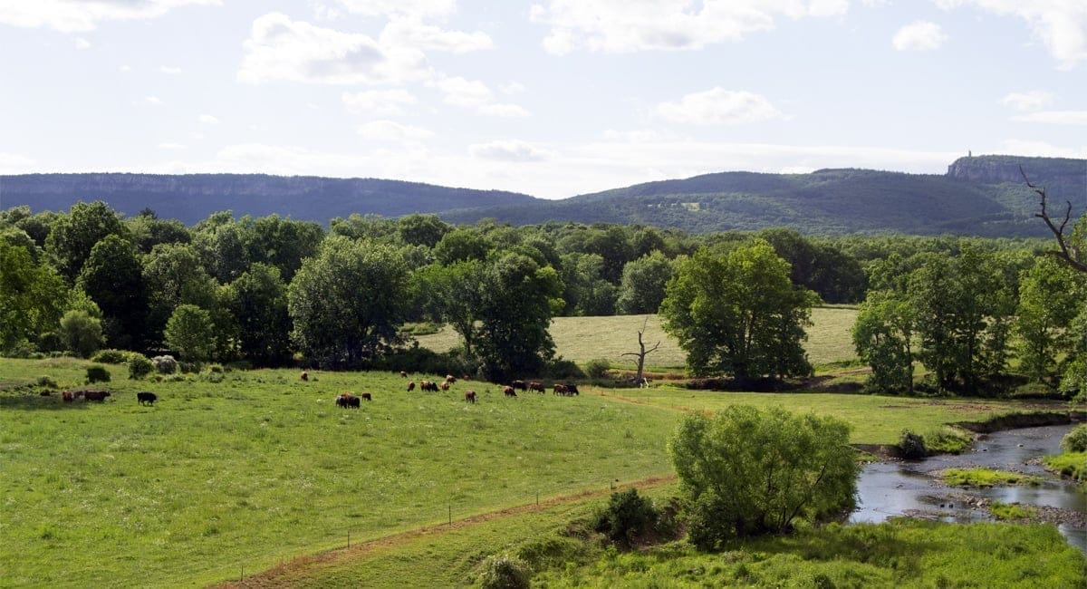 Rail Trail Countryside