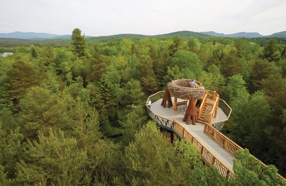 Stroll along the Wild Walk above the trees at the Wild Center. | Photo from WildCenter