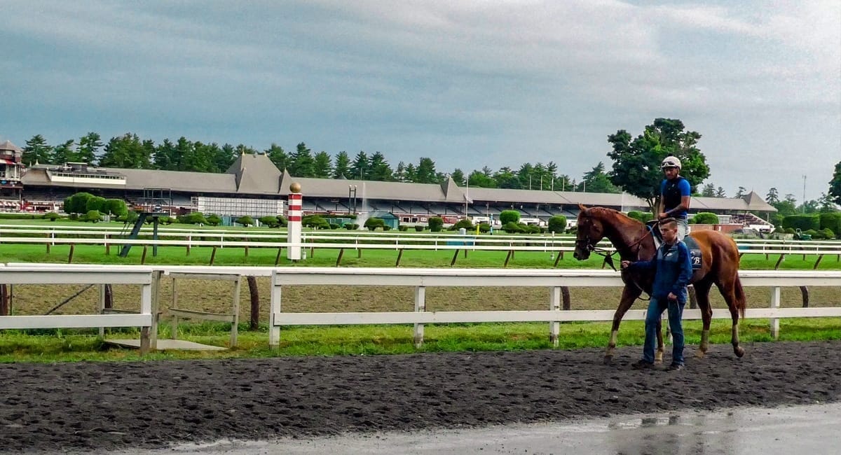 Back Stretch at Saratoga Race Course. | Christine Hinz