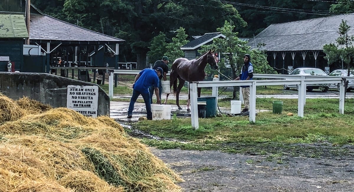 Saratoga Race Track Tour | David Connelly