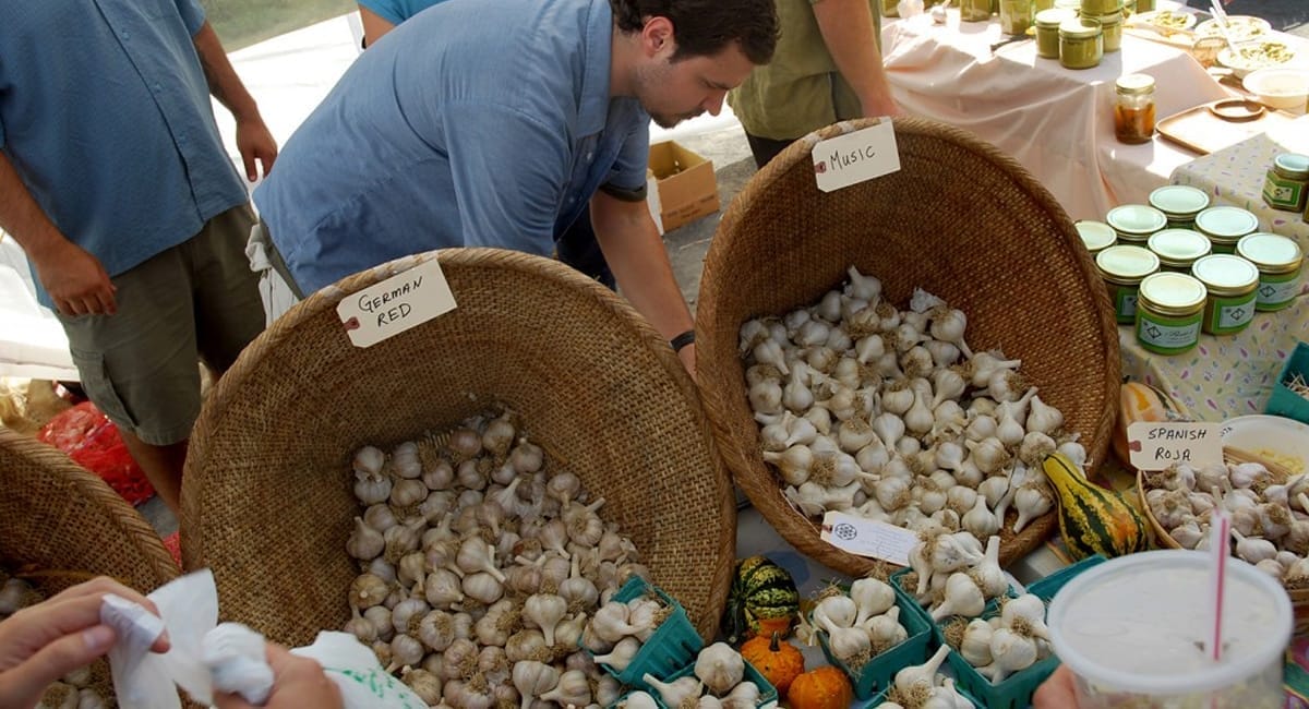 Hudson Valley Garlic Festival