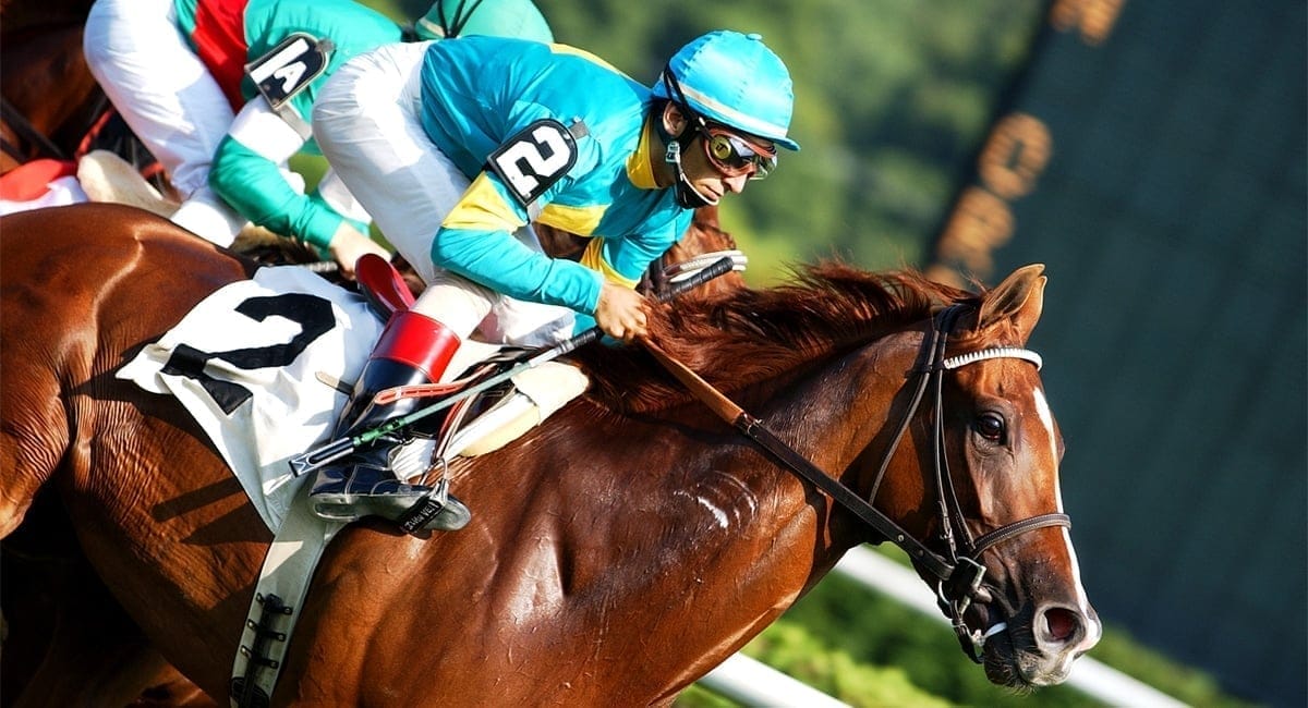 Saratoga Thoroughbred Racing Season