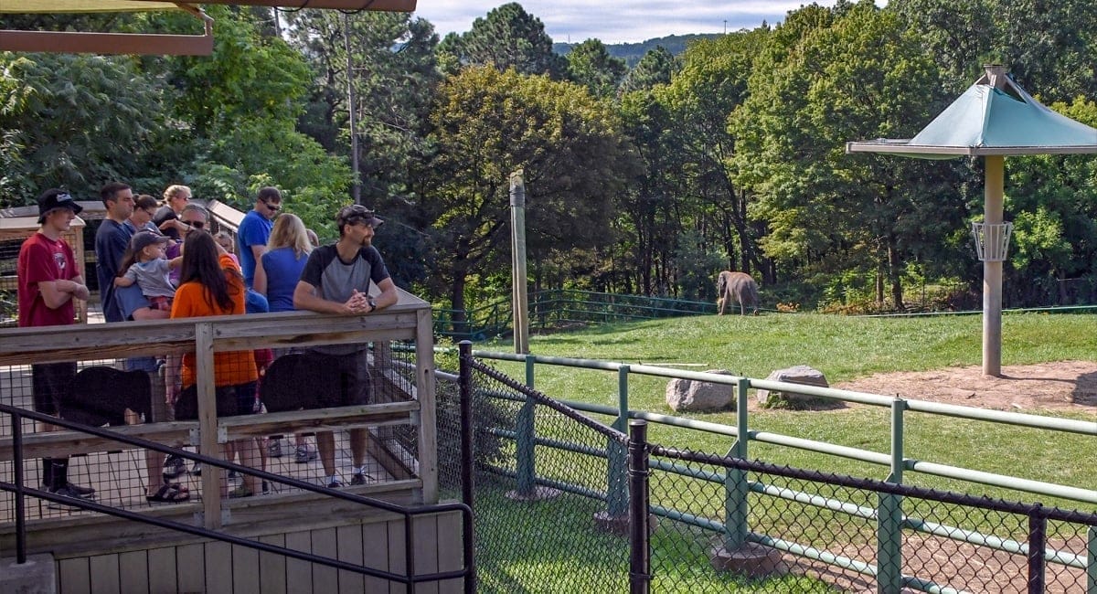 Rosamond Gifford Zoo | Lisa Ballard