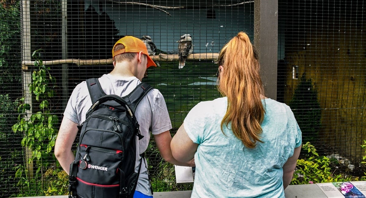 Rosamond Gifford Zoo | Lisa Ballard