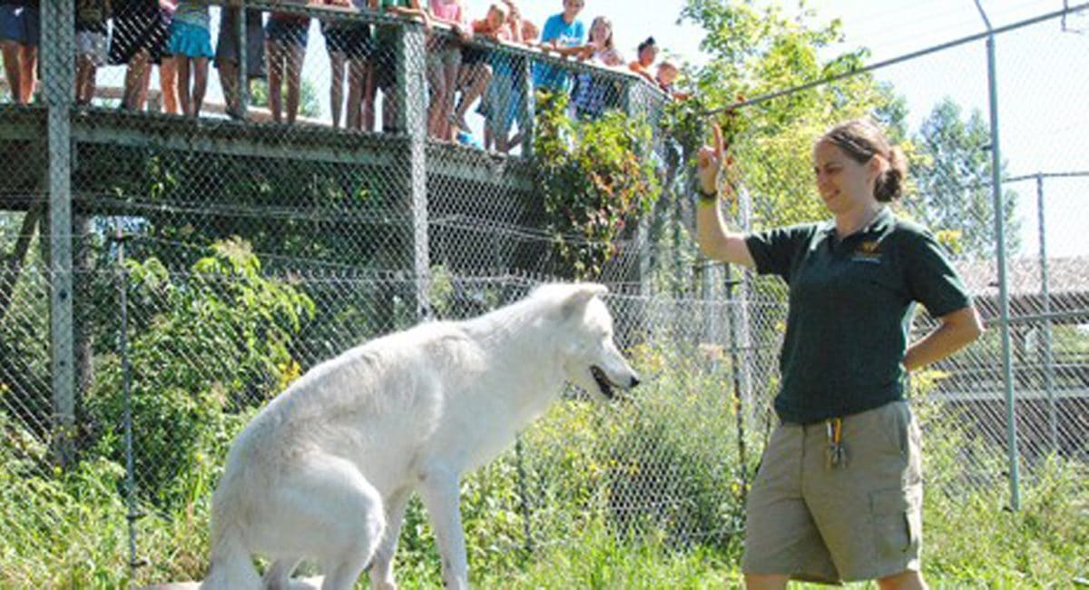 how far is parc safari from montreal