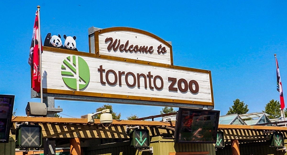 Toronto Zoo