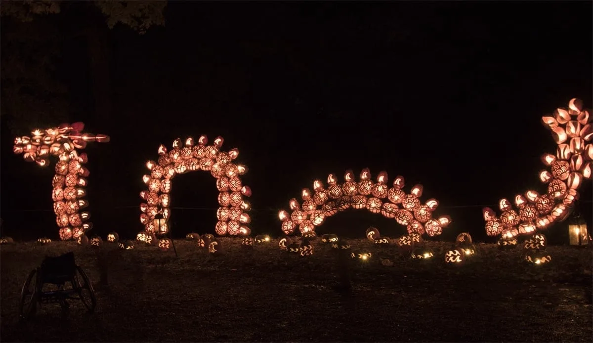 Sea Serpent | Photo Courtesy of Allyson Macci