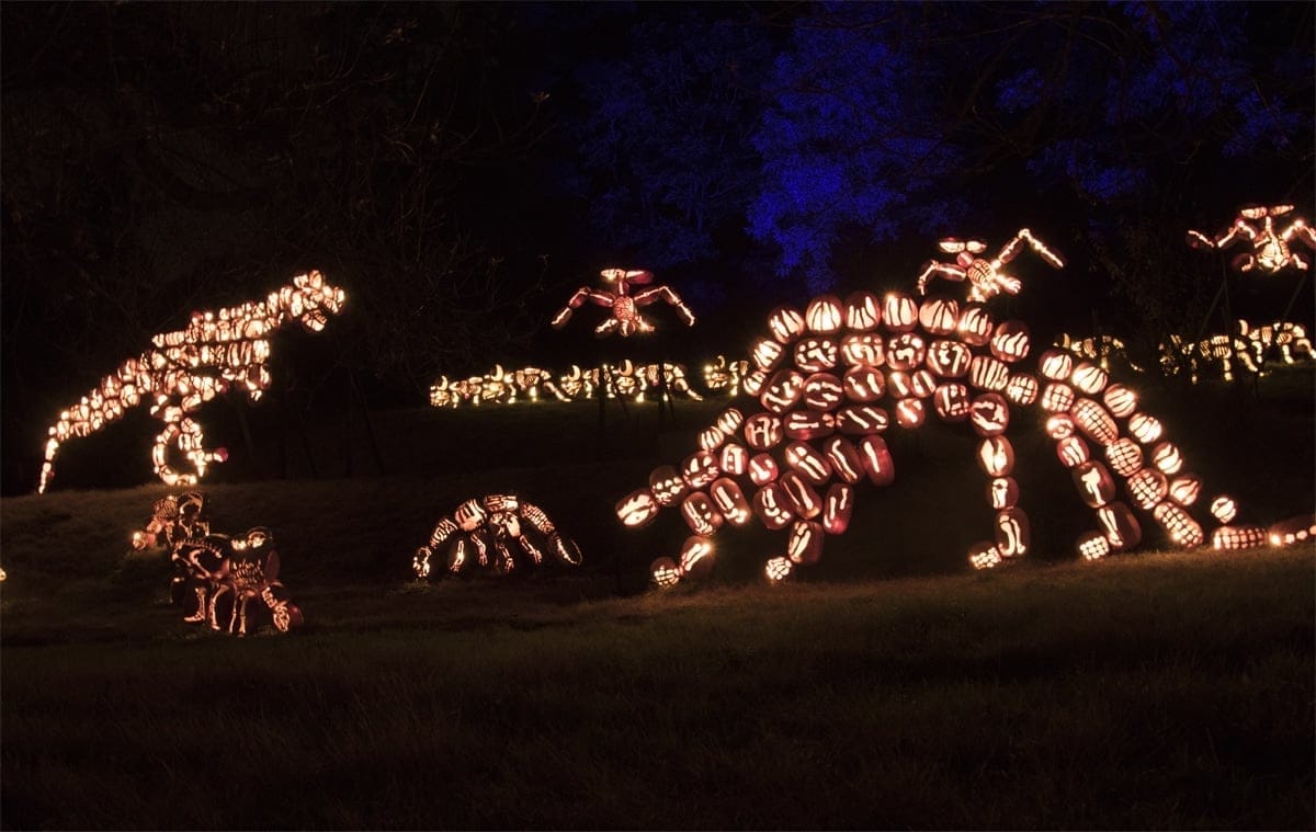 Pumpkin Dinosaurs | Photo Courtesy of Allyson Macci