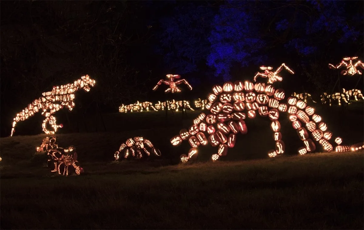 Pumpkin Dinosaurs | Photo Courtesy of Allyson Macci