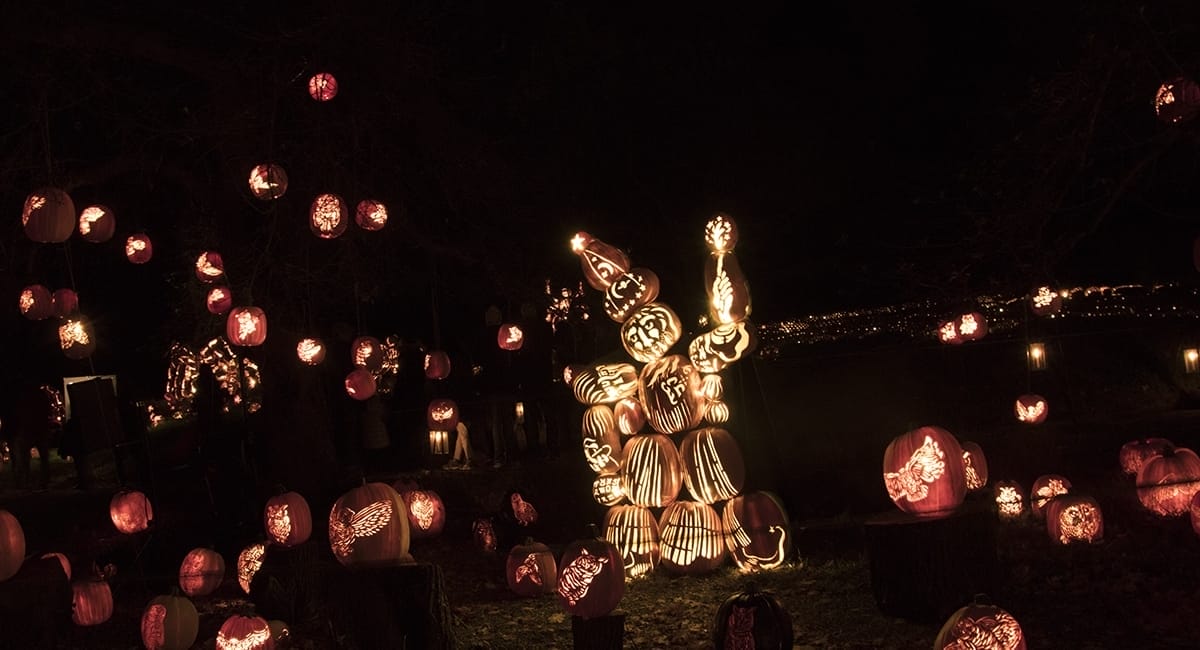Wizard and Owls | Photo Courtesy of Allyson Macci