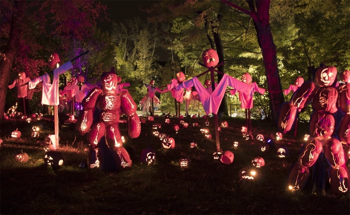 Pumpkin Zombies | Photo Courtesy of Allyson Macci