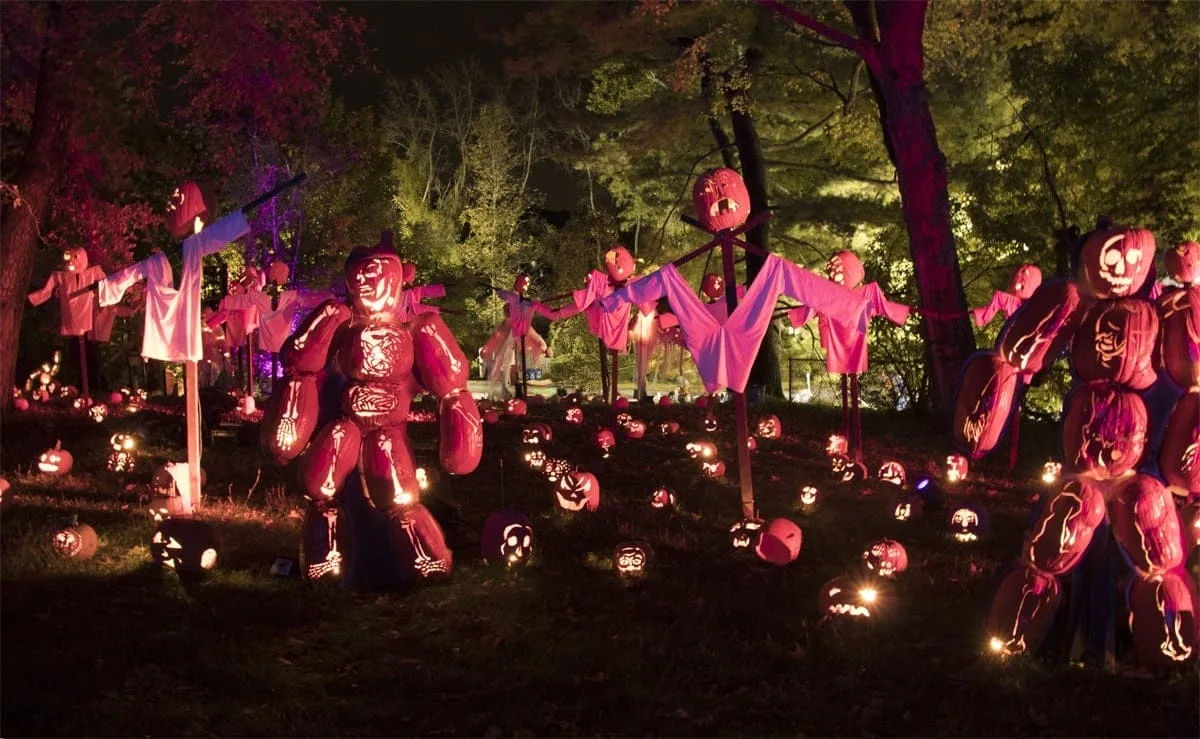 Pumpkin Zombies | Photo Courtesy of Allyson Macci