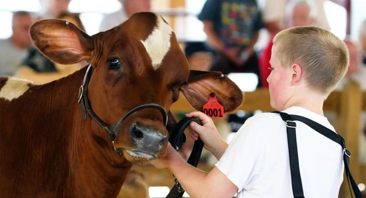 Dutchess County Fair