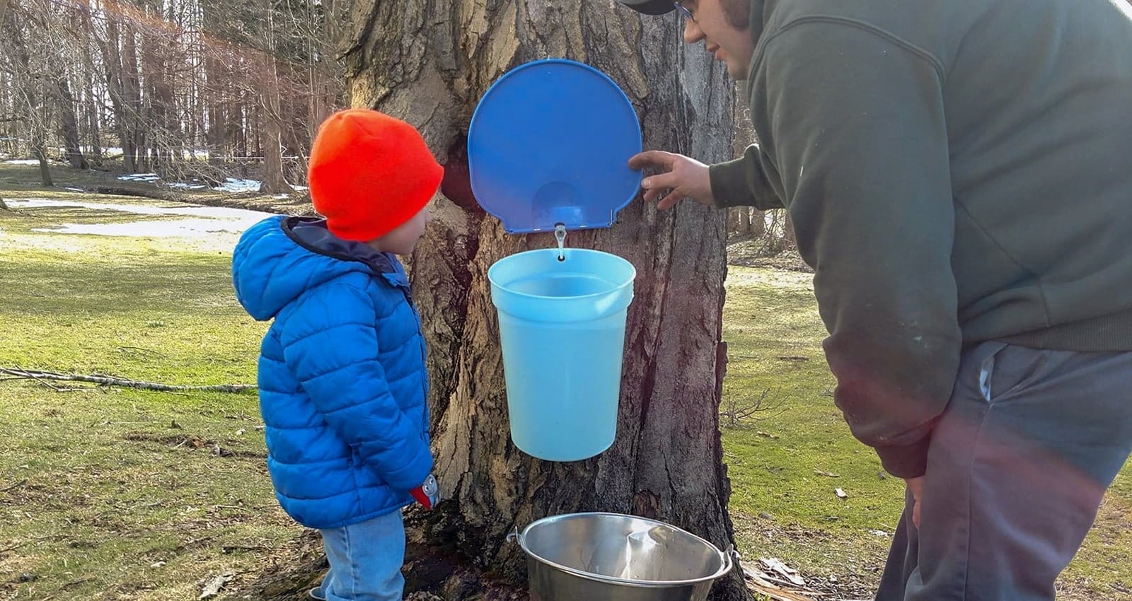 New York Maple Weekend | Tibbitts Maple