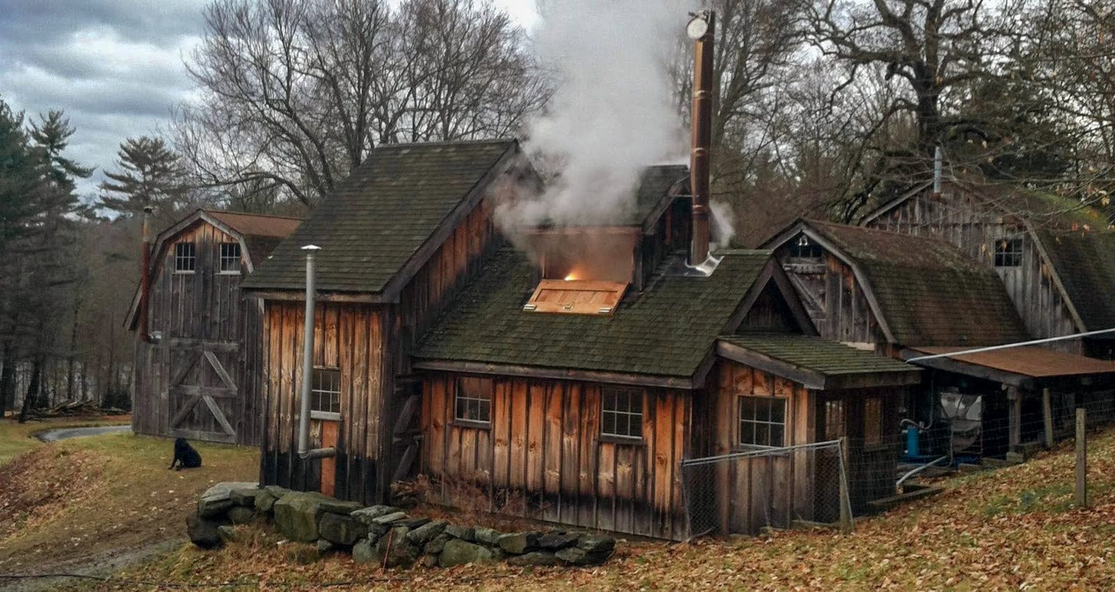 New York Maple Weekend | White Oak Farm