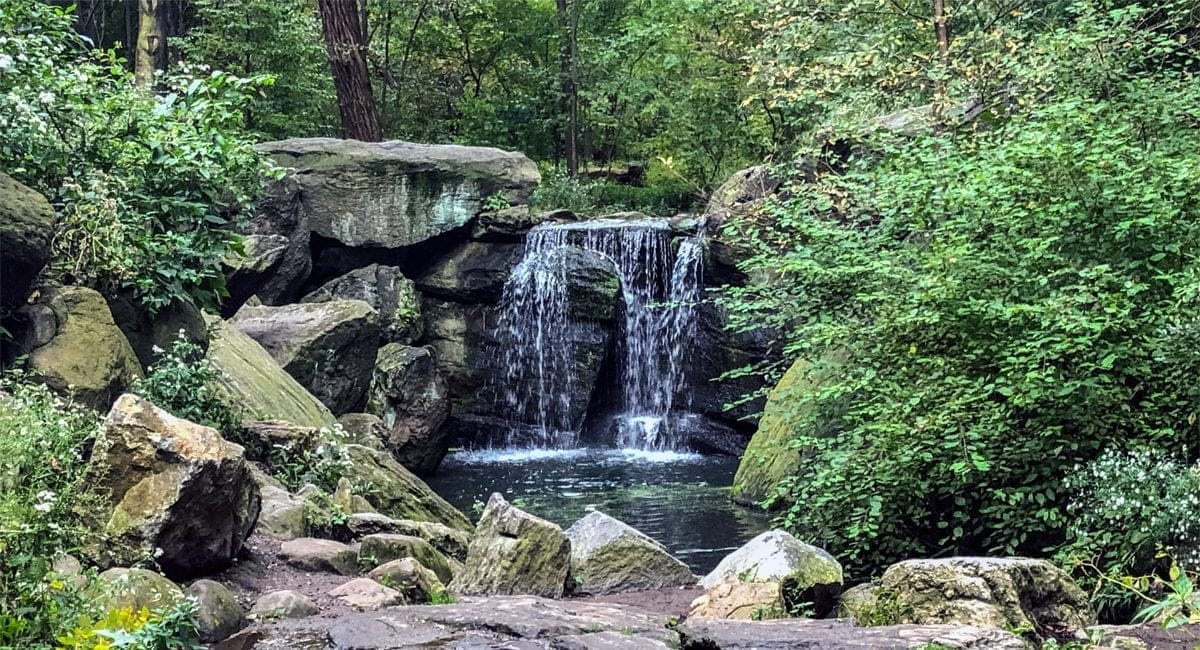 Ravine Walk, The Loch Central Park