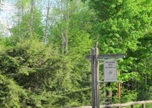 Mountain Top Arboretum